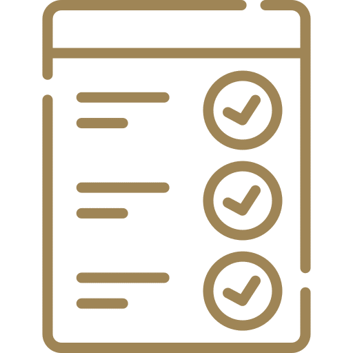 Process Checklist Icon